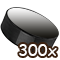 300.png